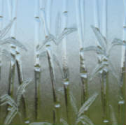 Speciality Glass - Frosted Glass - Bamboo